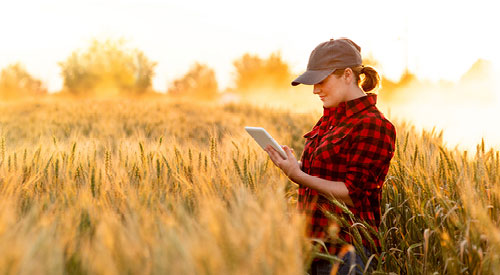 woman standing in a field looking at a tablet