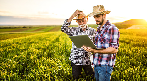 people standing in a field of crops looking at a laptop