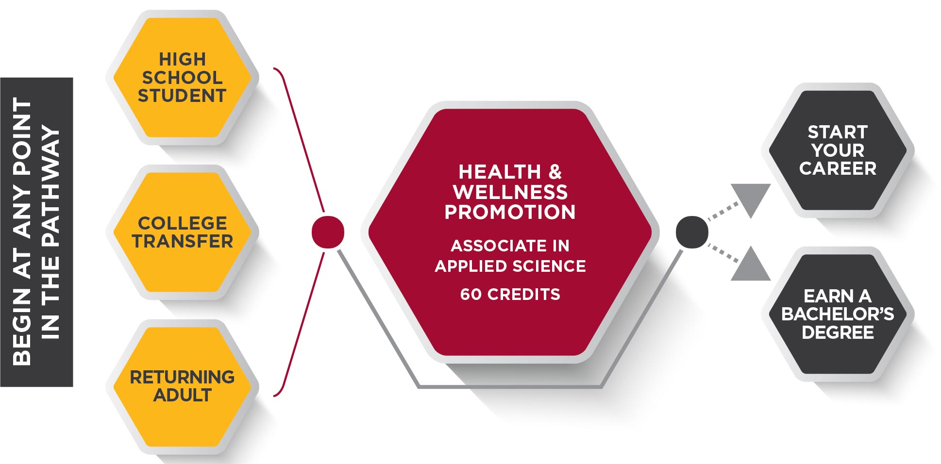 Health and Wellness Promotion Pathway