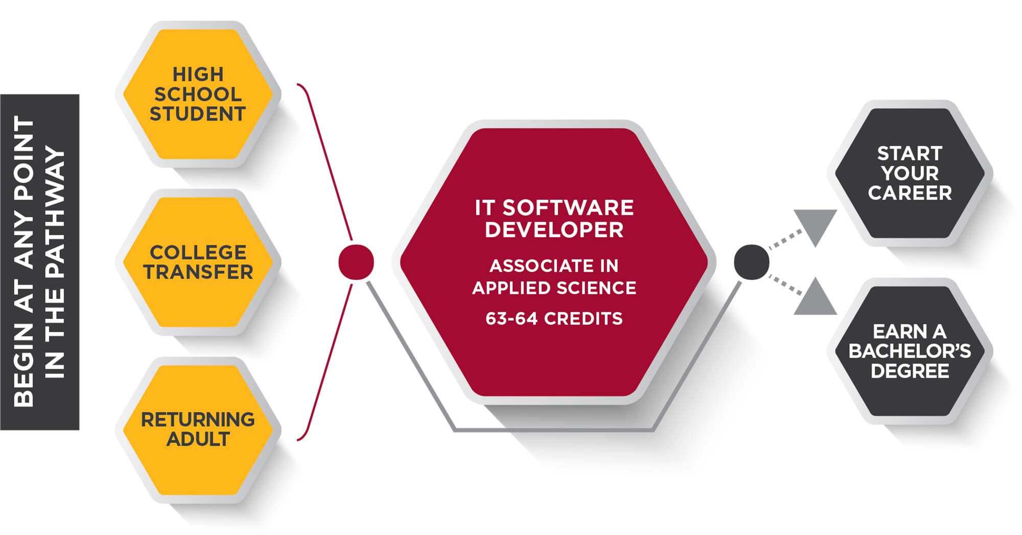 IT Software Developer Pathway