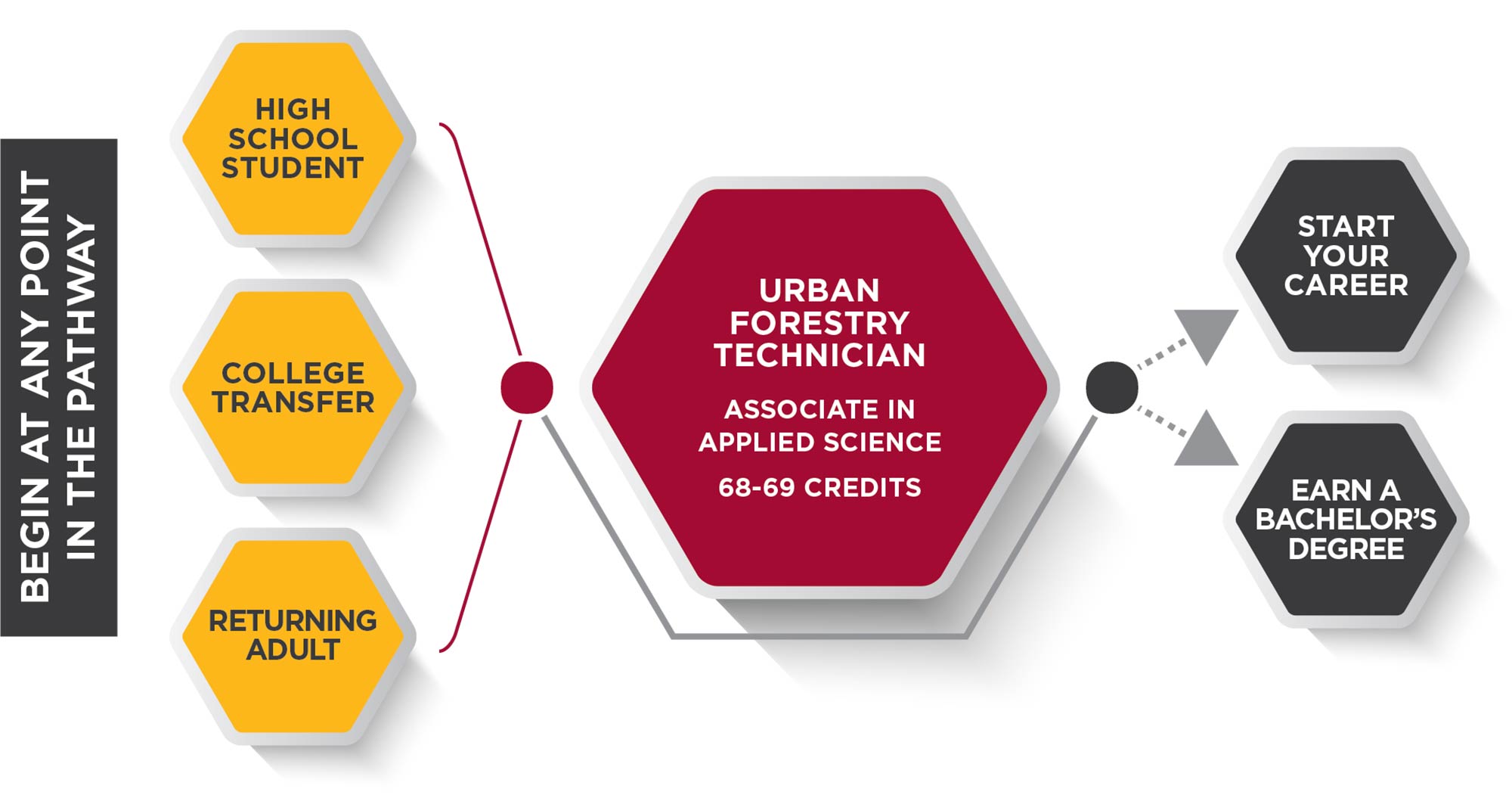 Urban Forestry Technician Pathway