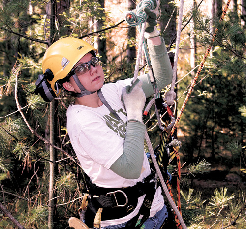 Person in arborist gear looking up at a tree