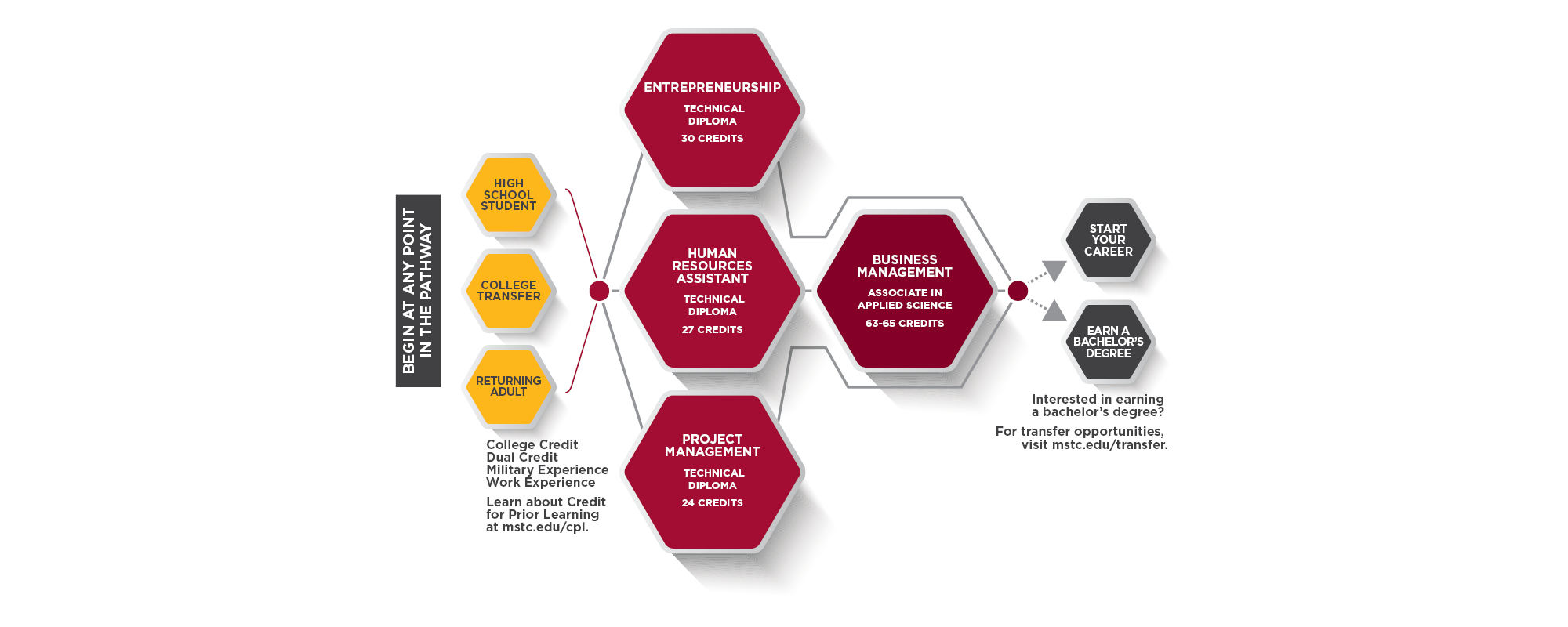 Career Pathway Graphic