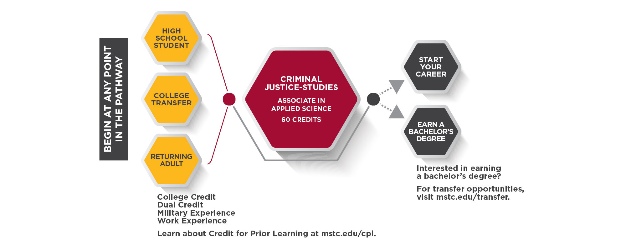 Criminal Justice Studies Pathway Graphic