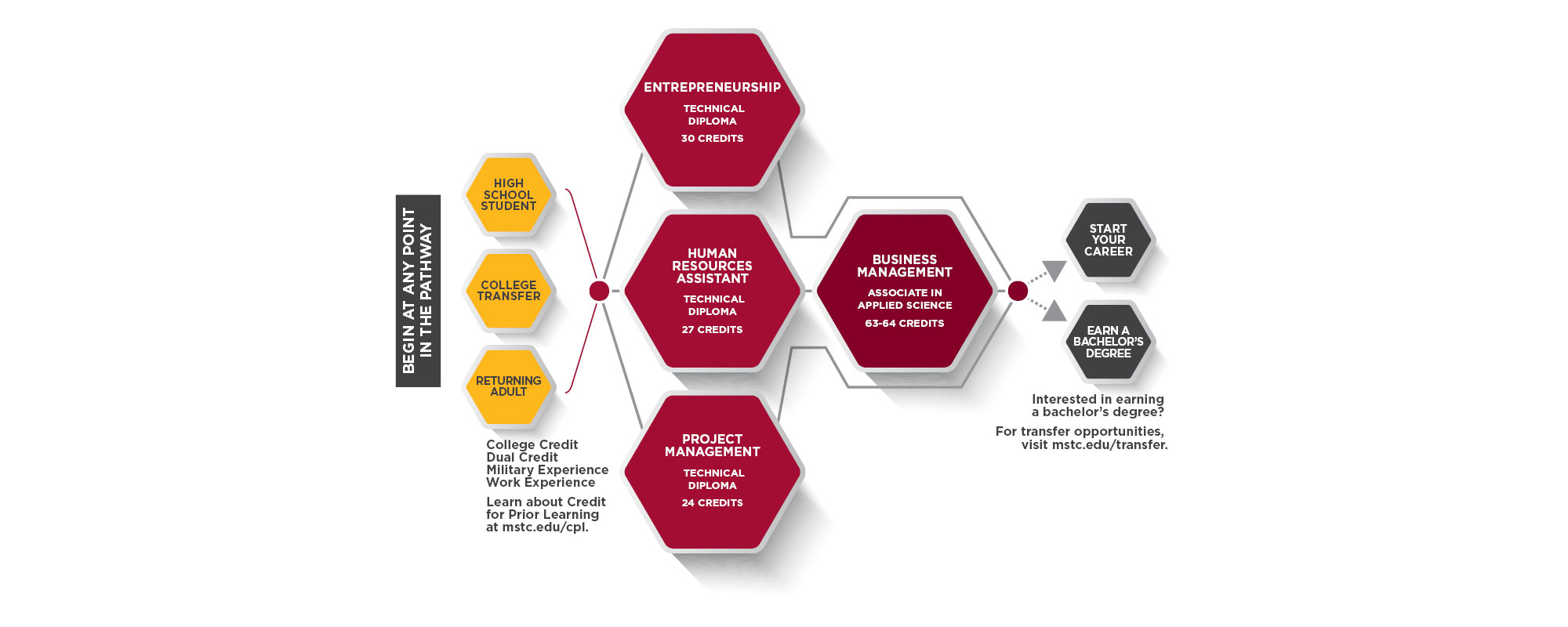 Entrepreneur Pathway Graphic