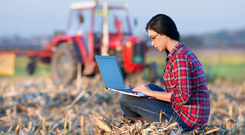 woman sitting in a field typing on a laptop a tractor can be seen blurred in the background