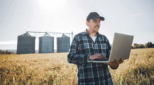 Man standing in a field with 3 silos in the background. Man is holding an dtyping on a laptop