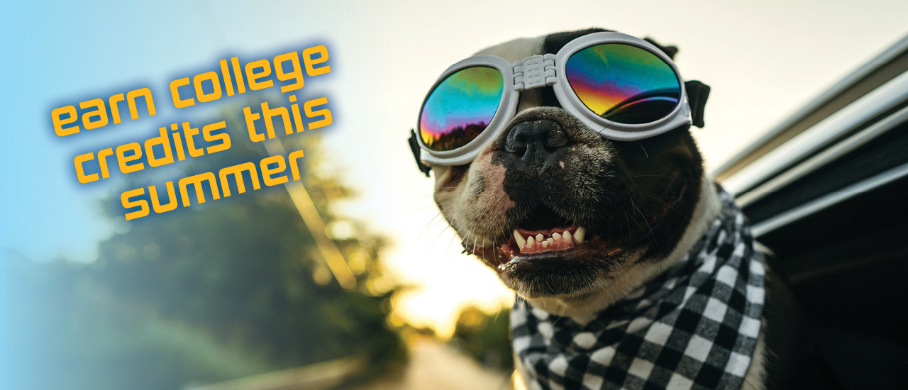 dog wearing sunglasses sticking its head out of a car window. text on image reads earn college credits this summer