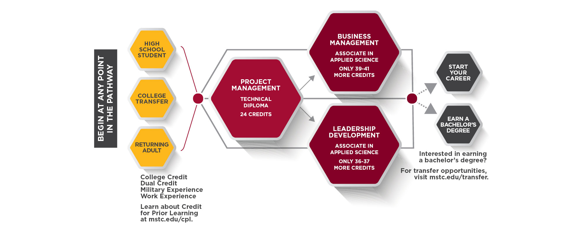 Project Management Pathway