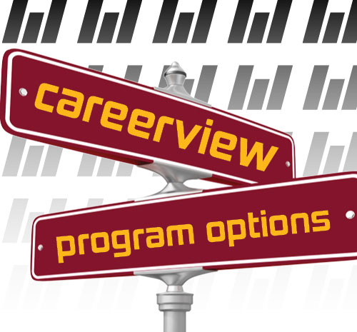 2 street signs with the words "careerview" and "program options" on them