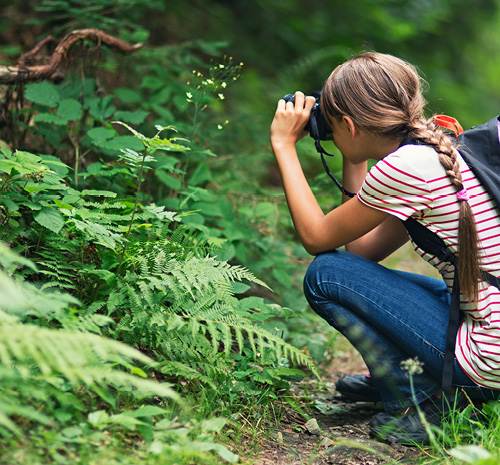 Person squatting down with a camera pointed at flowers