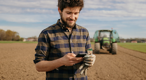 Person in a field of crops on their phone with a tractor in the background