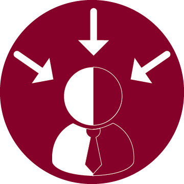 Work and Life Experience Icon