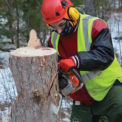 arborist