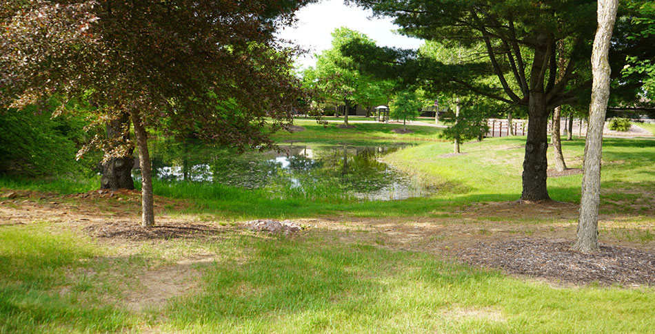 The pond on the Wisconsin Rapids Campus.