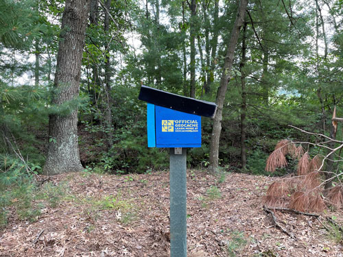 Box in the woods labeled "Official Geocache"