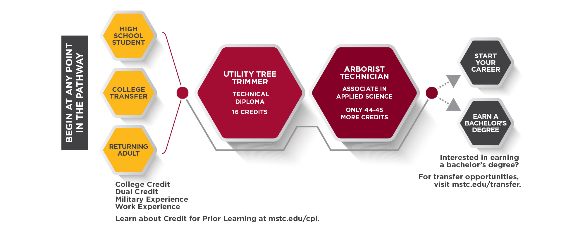 Arborist Technician Program Pathway