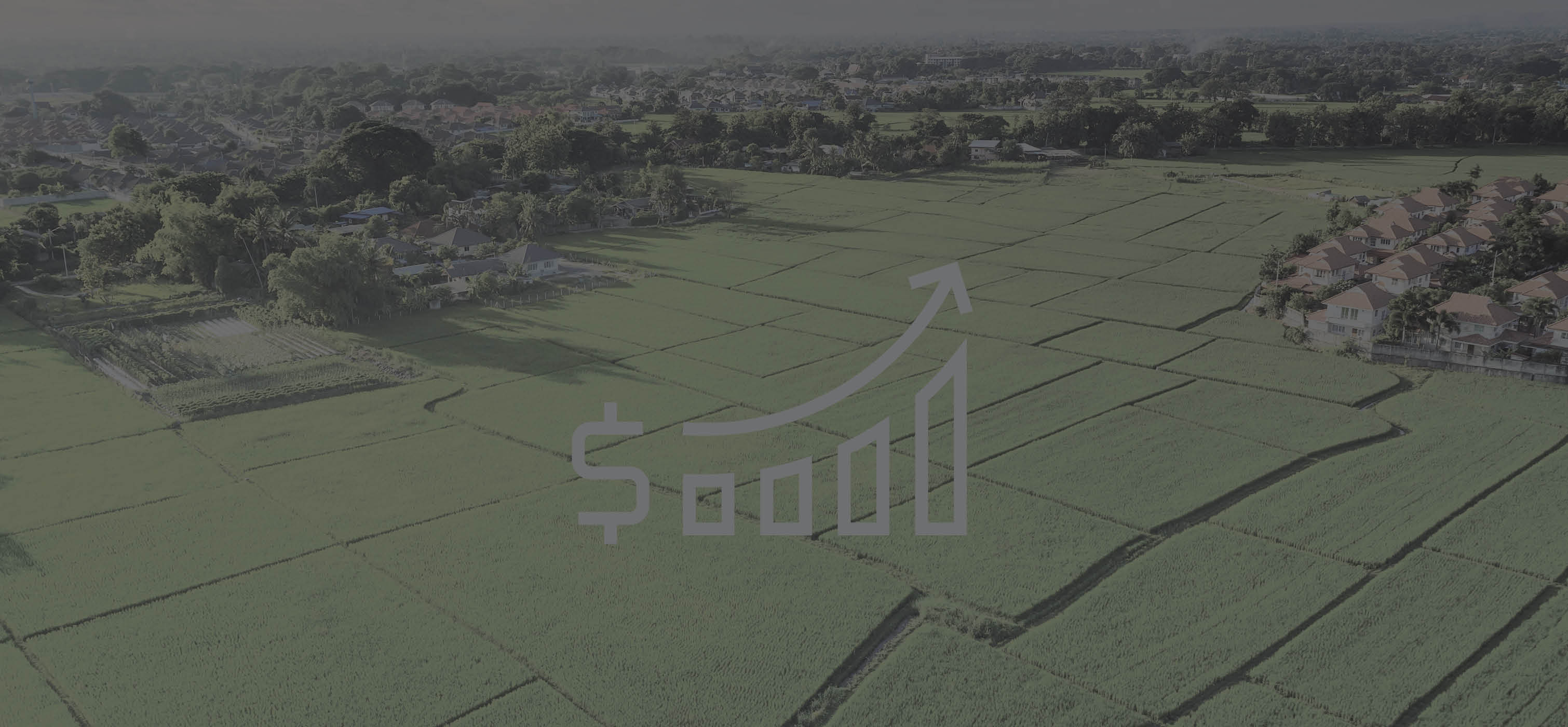 Birds eye view of a farm field with icon of a dollar sign and bar graph with an arrow pointing up as the bar graph gets larger 