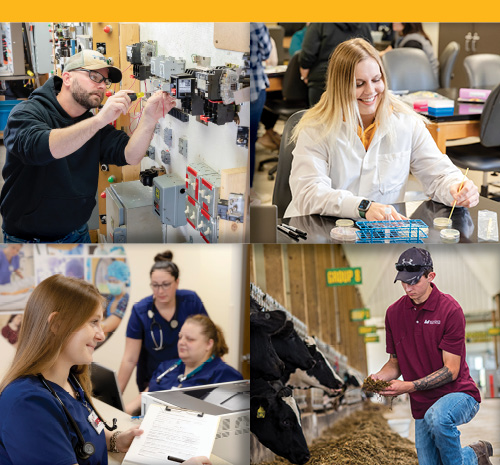 4 person collage working in different professions related to Youth Apprenticeship