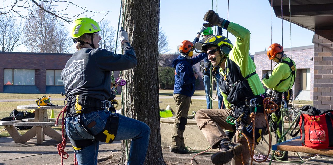 Students in climbing harnesses learning to scale trees.