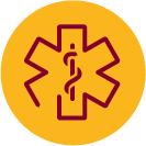 EMS Logo Icon