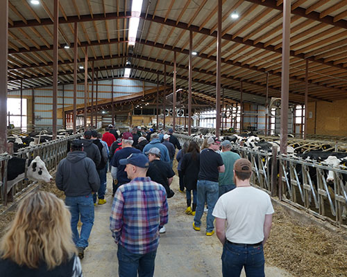 Farm Tour participants at Seehafer's City View Dairy, LLC, in Marshfield, Wis., March 13, 2024.