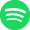 Spotify Icon