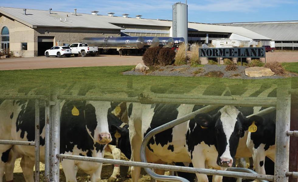 Norm-E-Lane Farm Inc in Chili, Wis. and Seehafer's City View Dairy, LLC, in Marshfield, Wis. These farms are featured stops on Mid-State Technical College’s Farm Tour on March 13, 2024.