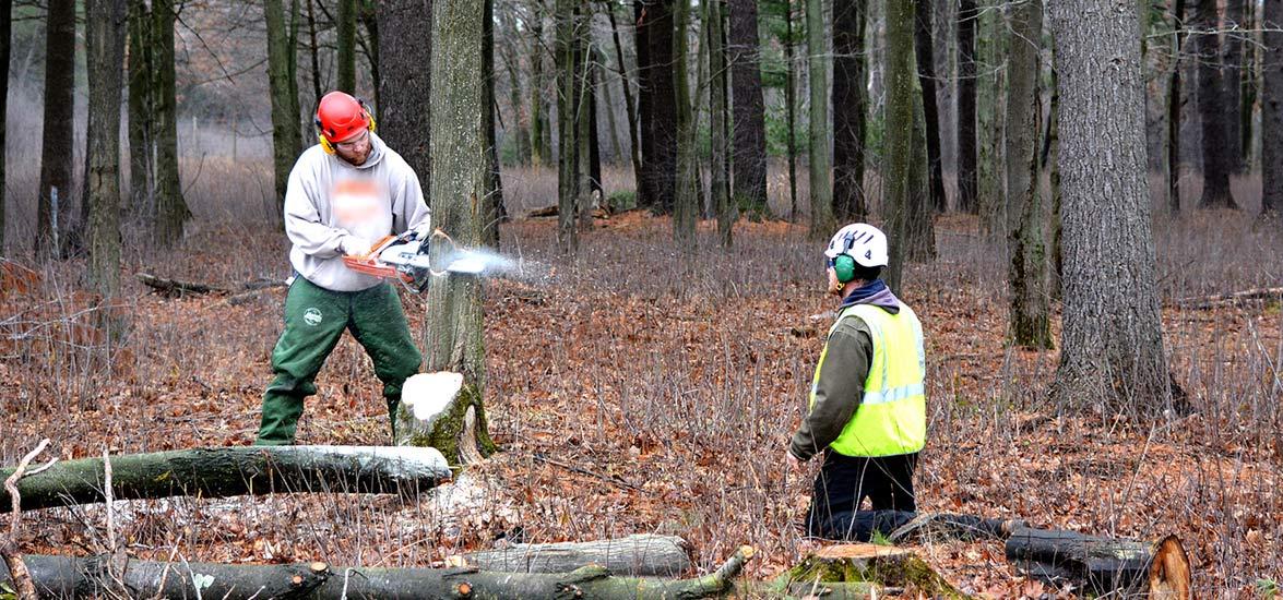 Mid-State Arborist Technician program graduate Jacob Farley (’18) practices chainsaw skills under the direction of instructor Joe Hoffman. The Arborist Technician associate degree at Mid-State transfers into the forestry bachelor’s degree at UW-Stevens Point under a quality transfer agreement between the two institutions.