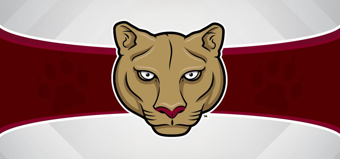 Mid-State Technical College cougar mascot head over maroon and white background