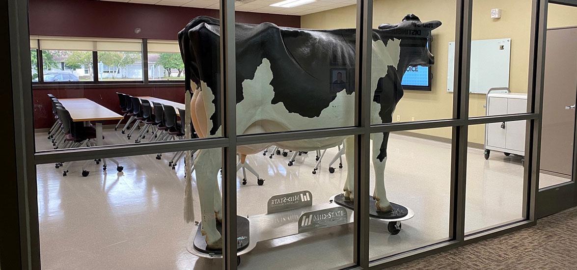 Millie, Mid-State’s calf-birthing simulator, takes her position in the College’s new dedicated agriculture lab on the Marshfield Campus. Renovation on the new space began this summer and was completed in time for use by students enrolled this fall in the Agribusiness and Science Technology associate degree program and embedded agriculture technical diplomas.