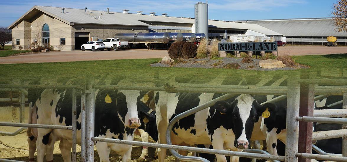Norm-E-Lane Farm Inc in Chili, Wis. and Seehafer's City View Dairy, LLC, in Marshfield, Wis. These farms are featured stops on Mid-State Technical College’s Farm Tour on March 13, 2024.