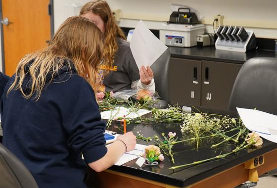 High school students participating in the FFA Career Development Events floriculture competition at Mid-State’s Marshfield campus on March 21, 2023.